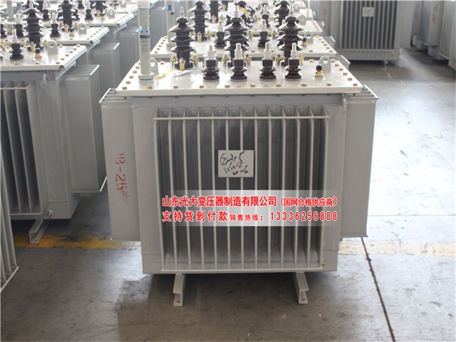 阜阳S11-6300KVA油浸式变压器